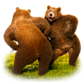 Dancing Bears