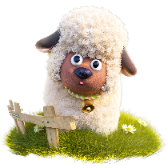 Cute Sheep