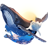 Seal and Whale