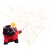 Spider Web