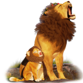Leon and Lion