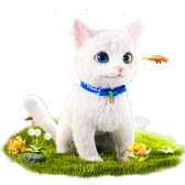 The Van Cat