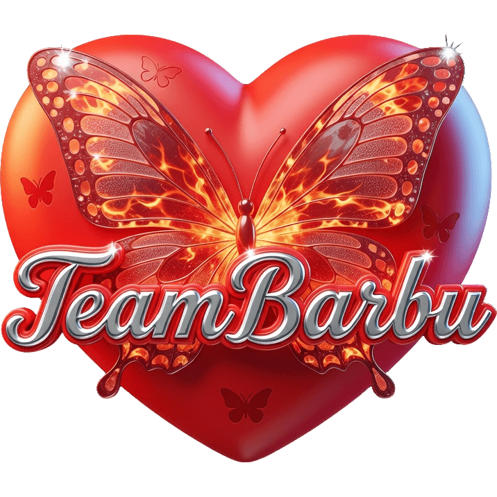 TeamBarbu Vleug