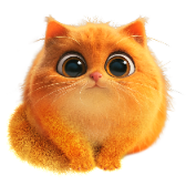 TOFU Cat