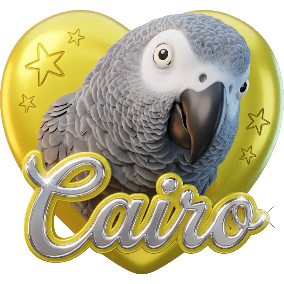 Cairo Grey