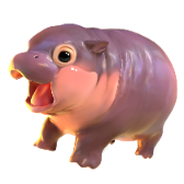 little hippo