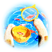Goldfish 