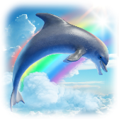 Dolphin Symphony 