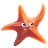 Starfish