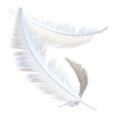 Feather Flock