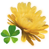Sending Luck