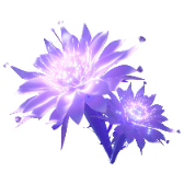 Moonlight Diamond