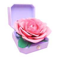 Carnation
