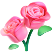 Relationship Rose