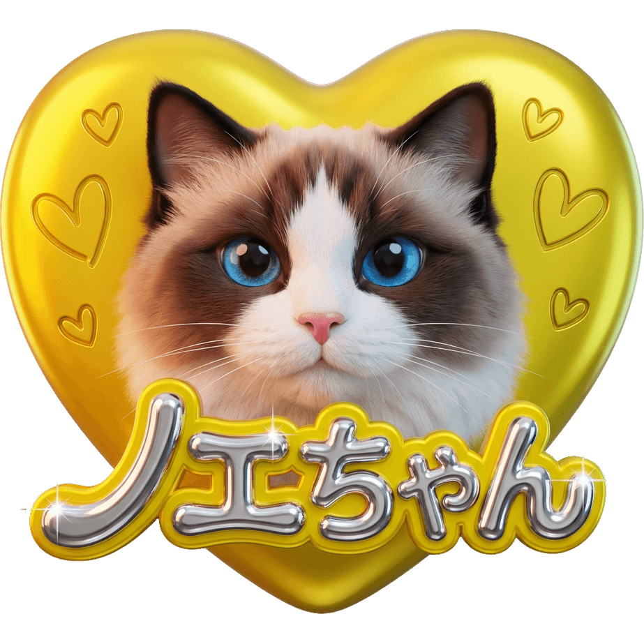 Noel ちゃん