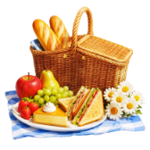 Summer Picnic