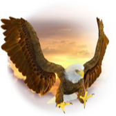 Falcon