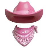 Pink Cowboy