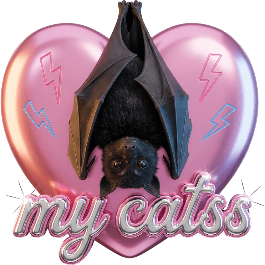 flying cat