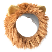 Lion's Mane