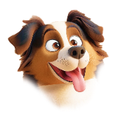 Shepherd giooo