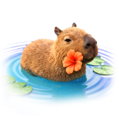 Capybara Swim