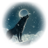 Black Wolf