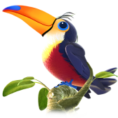 Toucan