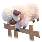 sheep