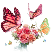 Butterfly for You
