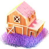 Lavender Field