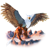 Griffin