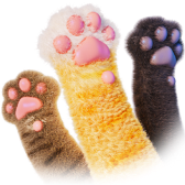 Pawfect