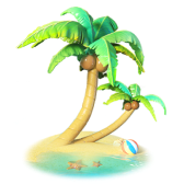 Coconut Tree
