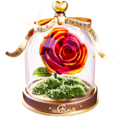 Forever Rosa
