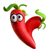 Chilli pepper