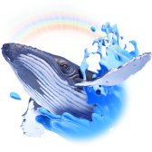 Sam the Whale