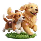 Dog Park