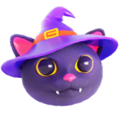Witchy Kitty