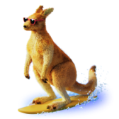 Kangaroo Surfer