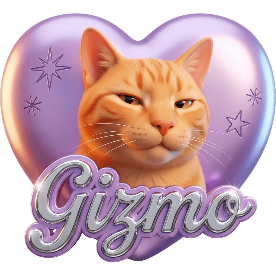 Gizmo Tabby