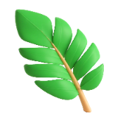 Palm Leaf