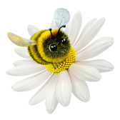 Flower Flight