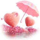 Love Shelter