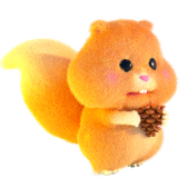 Squirrel